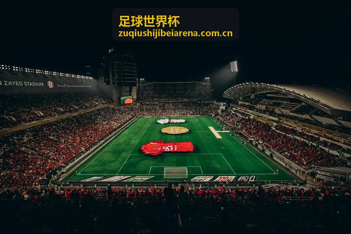 足球世界杯 - 赛事数据中心